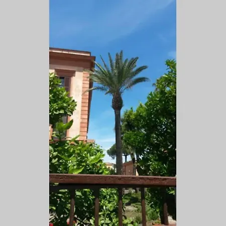 Il Guardiano Di Falco