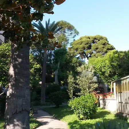 Il Guardiano Di Falco *