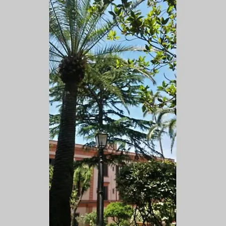 Il Guardiano Di Falco