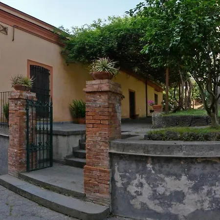 Il Guardiano Di Falco Ercolano