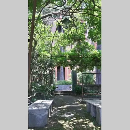 Il Guardiano Di Falco